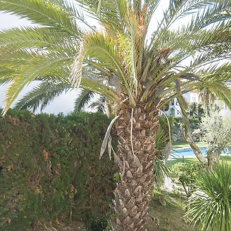 3 Bedroom Amazing In *